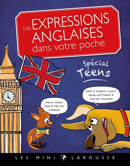 Les expressions anglaises dans votre poche, spécial teens -  Collectif - Larousse