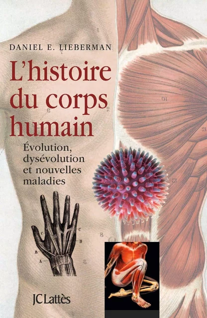 L'Histoire du corps humain - Daniel Lieberman - JC Lattès