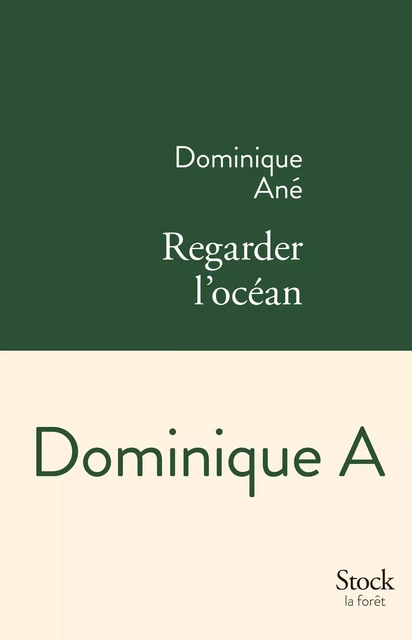 Regarder l'océan - Dominique A - Stock