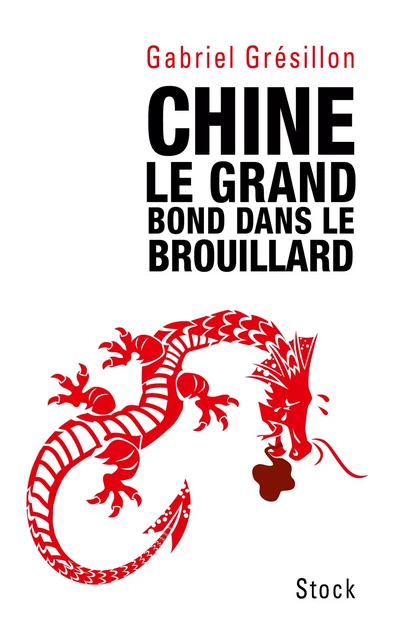 Chine. Le grand bond dans le brouillard - Gabriel Grésillon - Stock