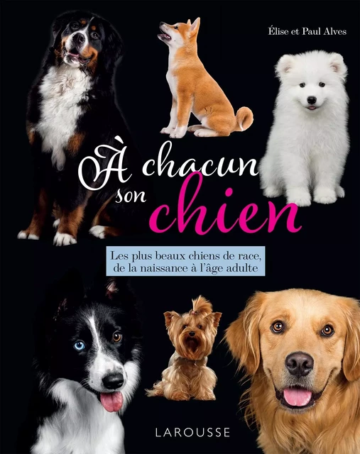 A chacun son chien - Elise Alves, Paul Alves - Larousse