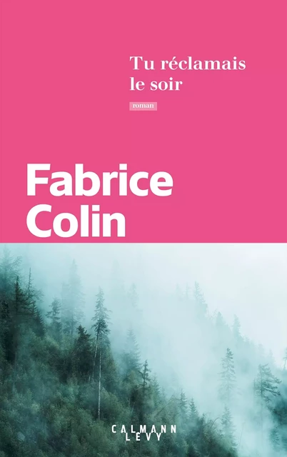 Tu réclamais le soir - Fabrice Colin - Calmann-Lévy