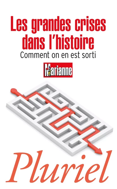 Les grandes crises dans l'histoire -  Collectif - Fayard/Pluriel