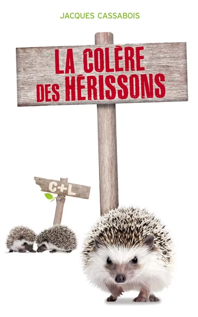 La colère des Hérissons - Jacques Cassabois - Hachette Romans