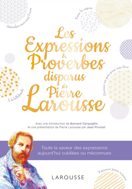 Les expressions disparues de Pierre Larousse -  Collectif - Larousse