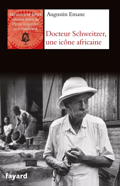 Albert Schweitzer, une icône africaine - Augustin Emane - Fayard