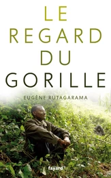 Le regard du gorille