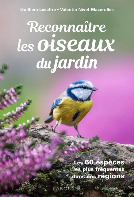 Reconnaitre les Oiseaux du jardin - Guilhem Lesaffre, Valentin Nivet Mazerolles - Larousse