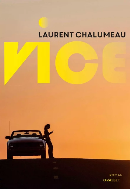 Vice - Laurent Chalumeau - Grasset