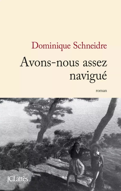 Avons-nous assez navigué - Dominique Schneidre - JC Lattès