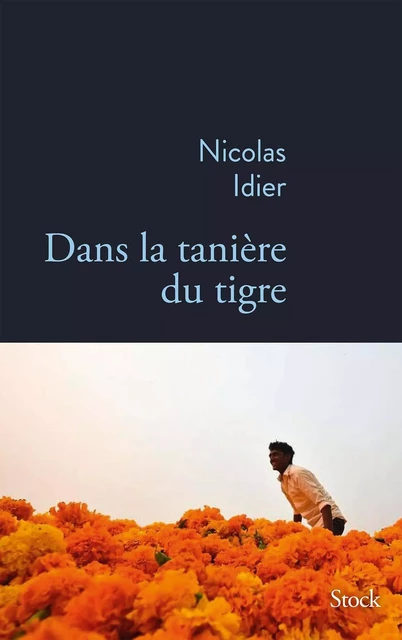 Dans la tanière du tigre - Nicolas Idier - Stock