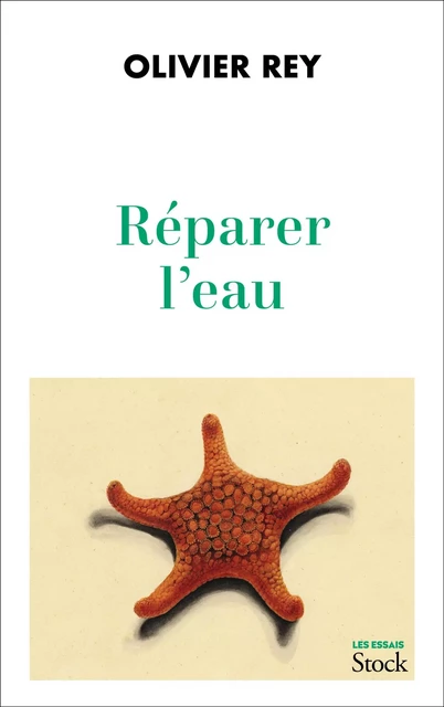 Réparer l'eau - Olivier Rey - Stock