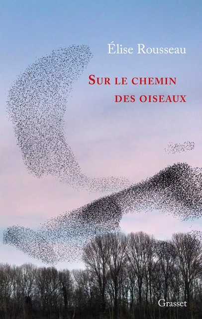 Sur le chemin des oiseaux - Elise Rousseau - Grasset