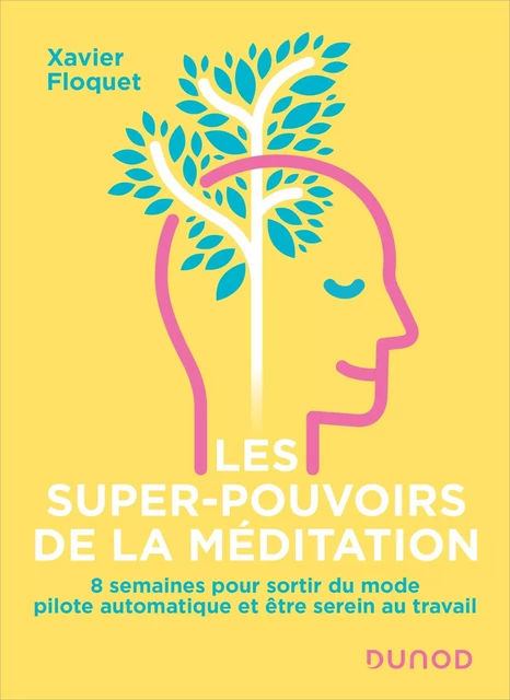 Les super-pouvoirs de la méditation - Xavier Floquet - Dunod