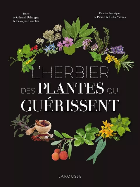 L'Herbier des plantes qui guérissent - Pierre VIGNES, Délia VIGNES, Gérard Debuigne, Francois Couplan - Larousse