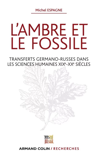 L'ambre et le fossile - Transferts germano-russes dans les sciences humaines XIXe-XXe - Michel Espagne - Armand Colin