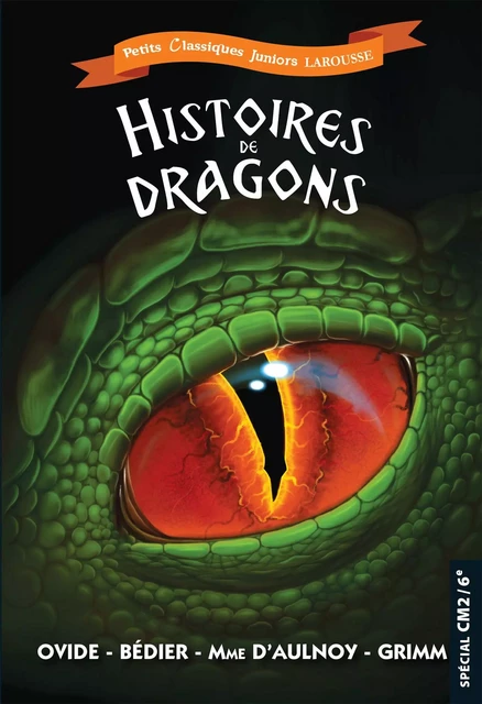 Histoires de dragons - Catherine Mory - Larousse