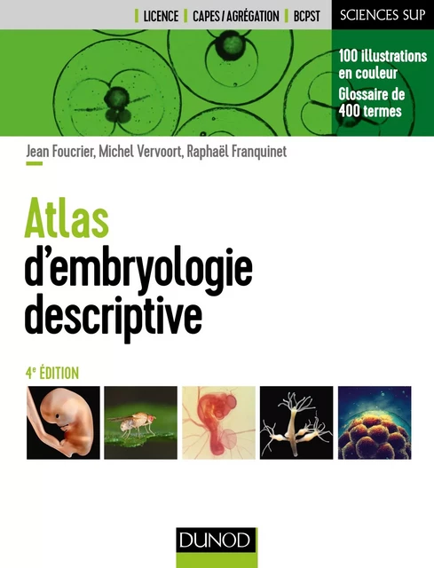 Atlas d'embryologie descriptive - 4e éd. - Jean Foucrier, Michel Vervoort, Raphael Franquinet - Dunod