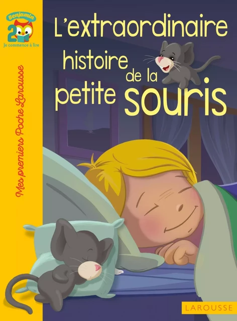 L'extraordinaire histoire de la petite souris - Catherine Mory - Larousse