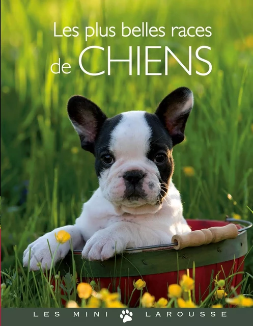 Les plus belles races de chiens - Brigitte Bulard-Cordeau - Larousse