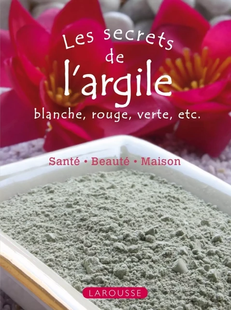 Les secrets de l'argile -  Collectif - Larousse