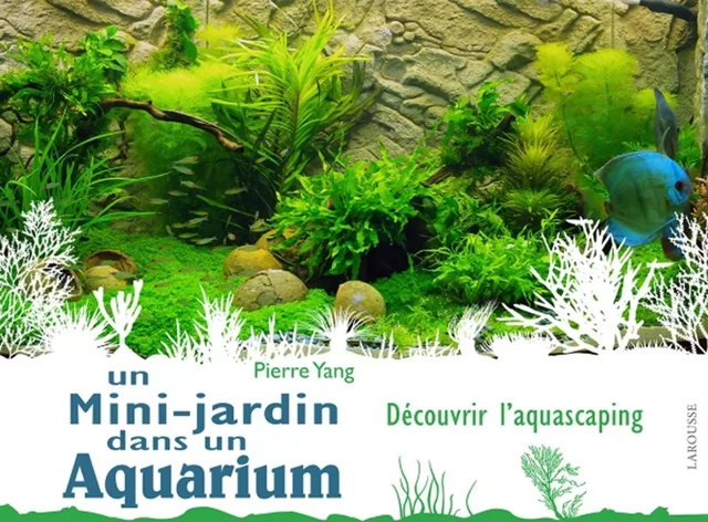 Un mini jardin dans un aquarium - Pierre Yang - Larousse