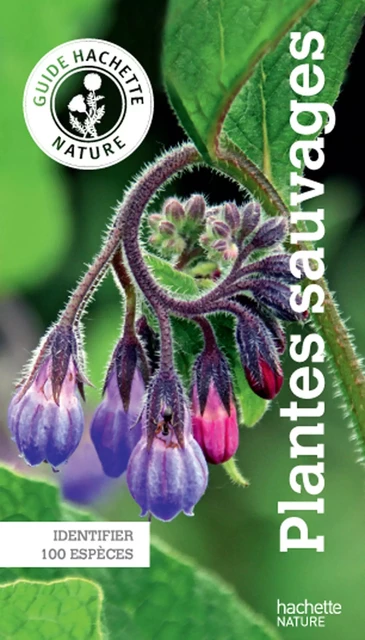 Le guide Hachette Nature des Plantes Sauvages - Helga Hofmann - Hachette Pratique