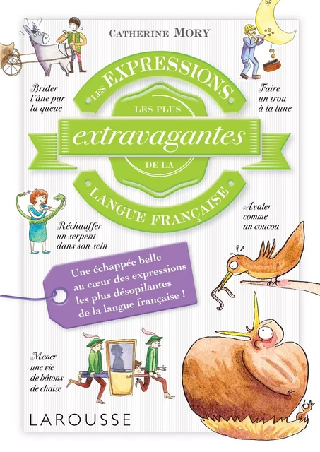 Les expressions les plus extravagantes de la langue française - Catherine Mory, Tiphaine Desmoulière - Larousse