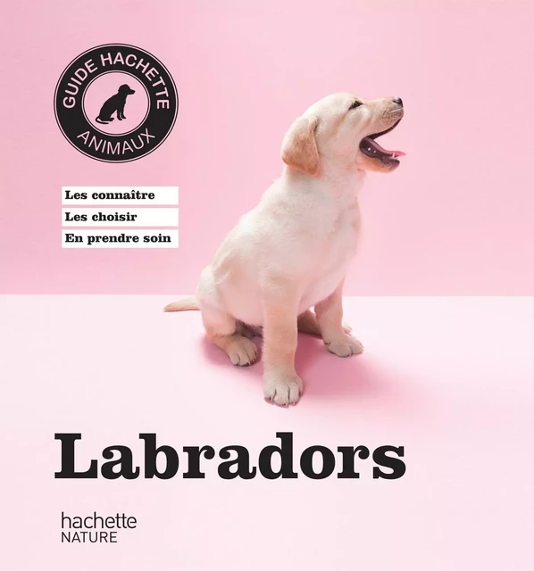 Labradors - Bruno Tessier - Hachette Pratique