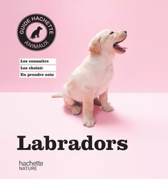 Labradors