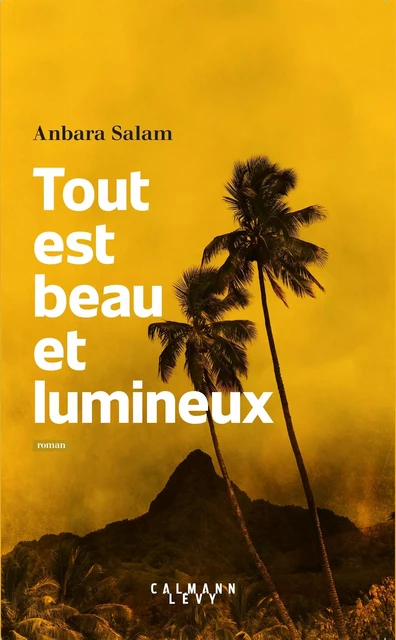 Tout est beau et lumineux - Anbara Salam - Calmann-Lévy