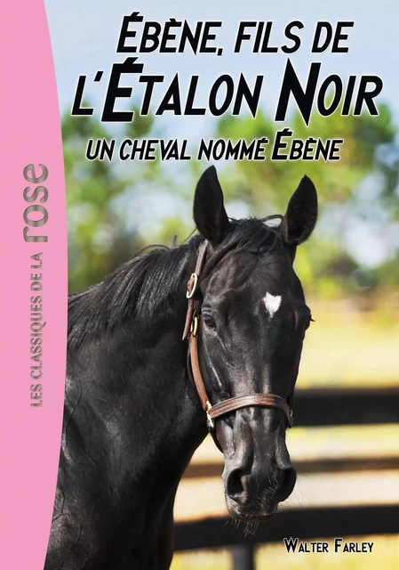 L'Étalon Noir 22 - Un cheval nommé Ébène - Steven Farley - Hachette Jeunesse