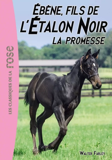 L'Étalon Noir 21 - Ébène, le fils de l'Étalon Noir - Steven Farley - Hachette Jeunesse