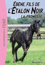 L'Étalon Noir 21 - Ébène, le fils de l'Étalon Noir