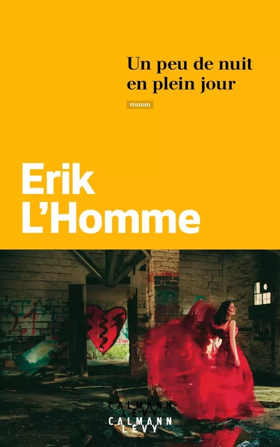 Un peu de nuit en plein jour - Erik L'Homme - Calmann-Lévy