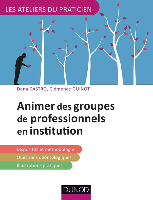 Animer des groupes professionnels en institution - Dana Castro, Clémence Guinot - Dunod