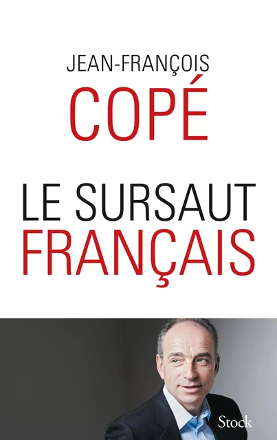 LE SURSAUT FRANCAIS - Jean-François Copé - Stock