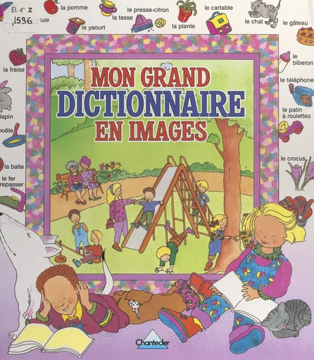 Dictionnaire en images - Suzanne Gauder - FeniXX réédition numérique