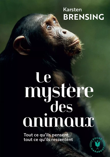 Le mystère des animaux - Karsten Brensing - Marabout