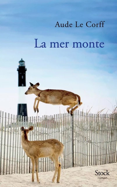 La mer monte - Aude Le Corff - Stock