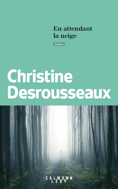 En attendant la neige - Christine Desrousseaux - Calmann-Lévy