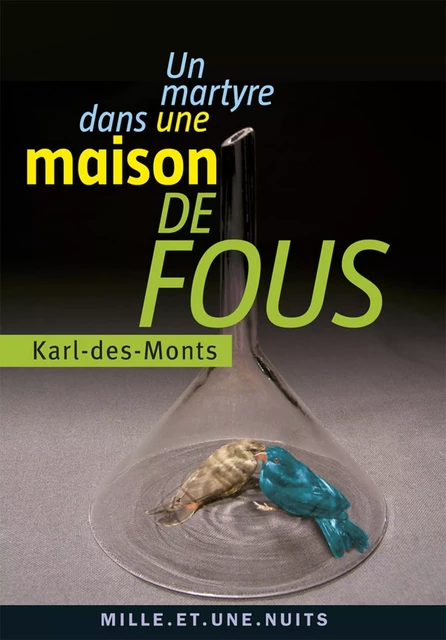 Un martyre dans une maison de fous -  Karl-des-Monts - Fayard/Mille et une nuits