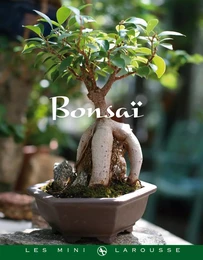 Bonsaï