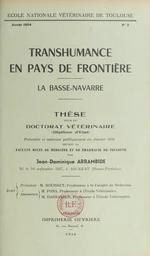 Transhumance en pays de frontière : la Basse-Navarre