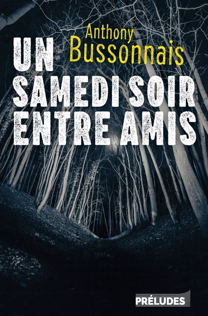 Un samedi soir entre amis - Anthony Bussonnais - Préludes