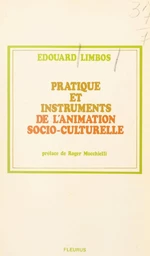 Pratique et instruments de l'animation socio-culturelle