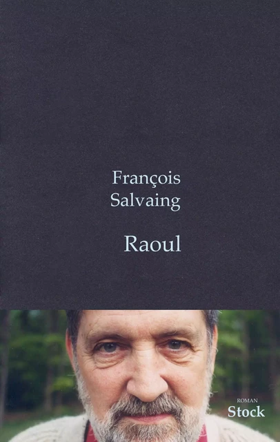 Raoul - François Salvaing - Stock