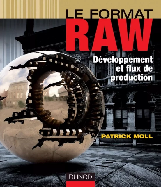 Le format RAW - Patrick Moll - Dunod