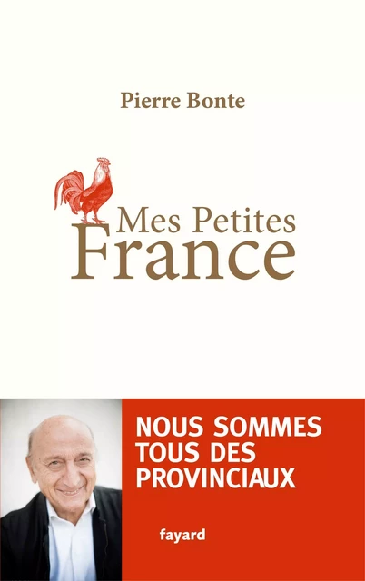 Mes petites France - Pierre Bonte - Fayard