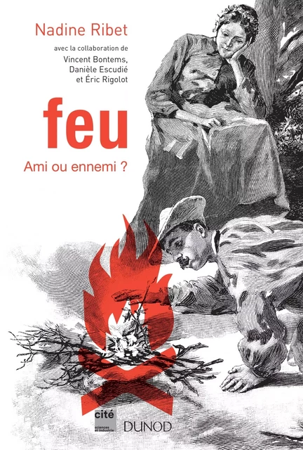 Feu - Ami ou ennemi ? - Nadine Ribet, Vincent Bontems, Danièle Escudié, Eric Rigolot - Dunod